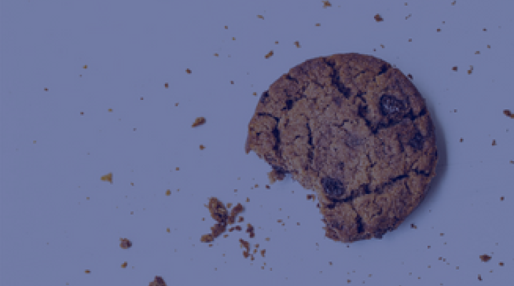 Cover image for ID5's guide for brands in navigating the cookie-less future