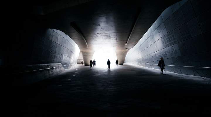 catch_digital_20