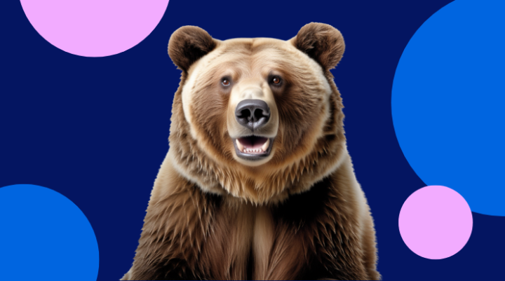 Joy the Bear