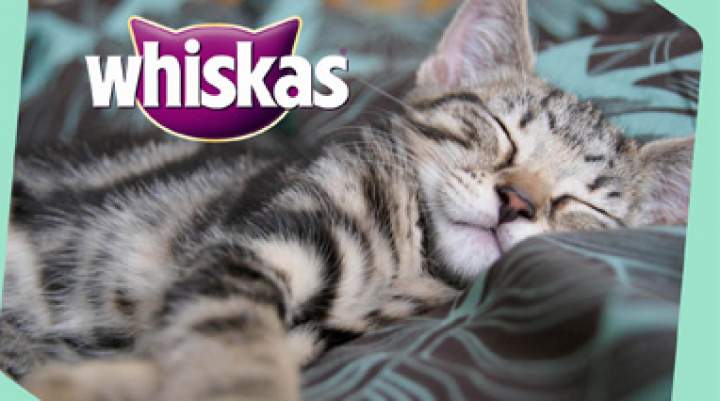 Whiskas