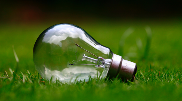 Lightbulb on a field of grass