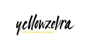 Yellow Zebra logo