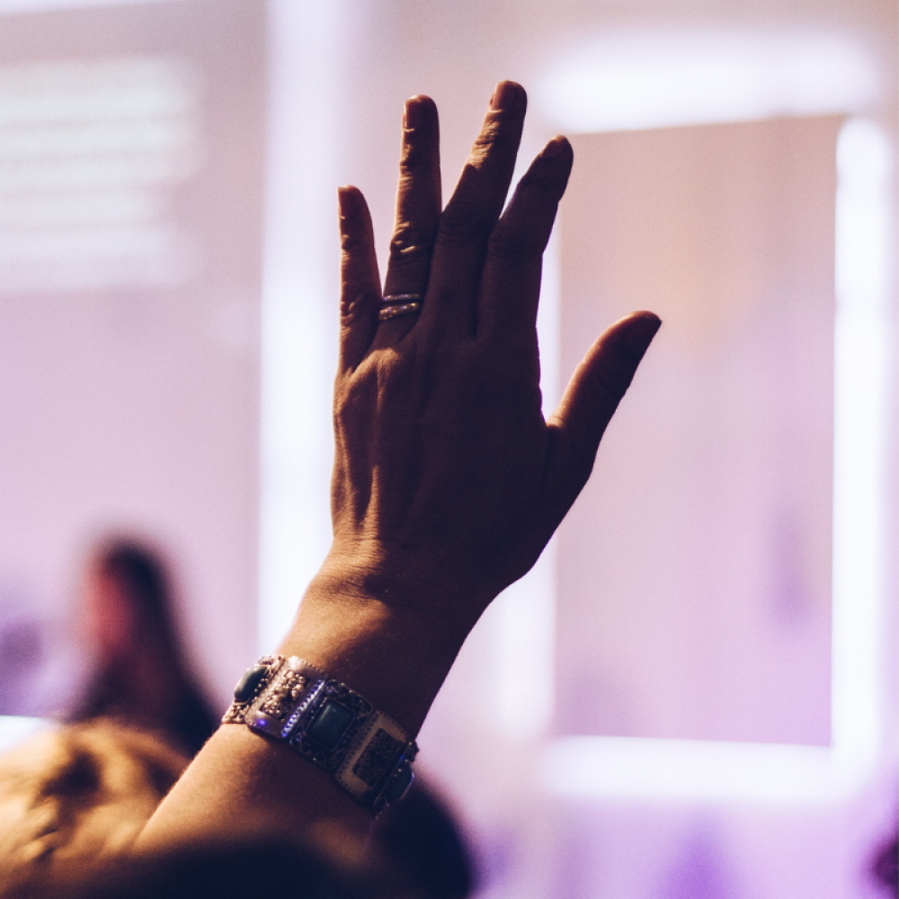 Person raising their hand in audience