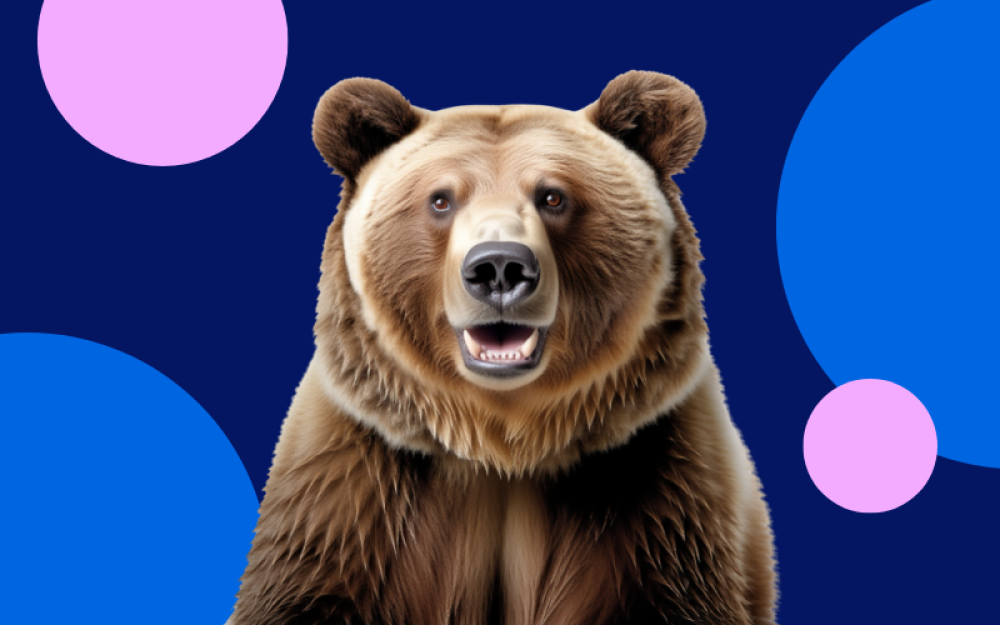 Joy the Bear