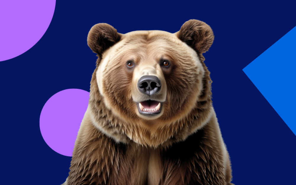 Joy the Bear